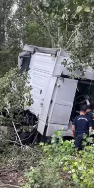 Sakarya'da TIR, ağaca çarparak kaza yaptı