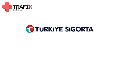 Türkiye Sigorta, 2024 Mayıs'ta En Yüksek Pazar Payına Ulaştı