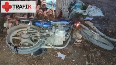 Bursa'da Motosiklet Ağaca Çarptı: 1 Kişi Hayatını Kaybetti, 1 Kişi Yaralandı