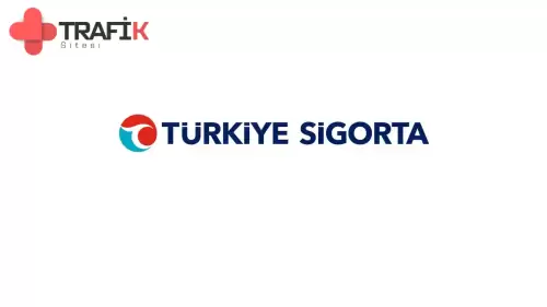 Türkiye Sigorta, 2024 Mayıs'ta En Yüksek Pazar Payına Ulaştı