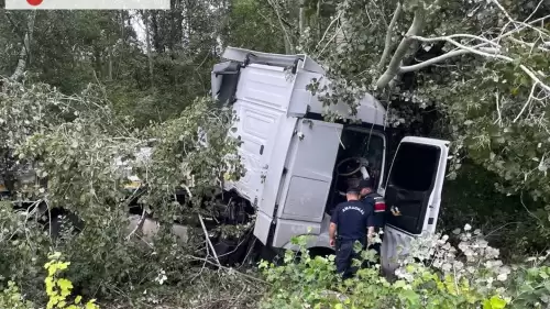 Sakarya'da TIR, ağaca çarparak kaza yaptı