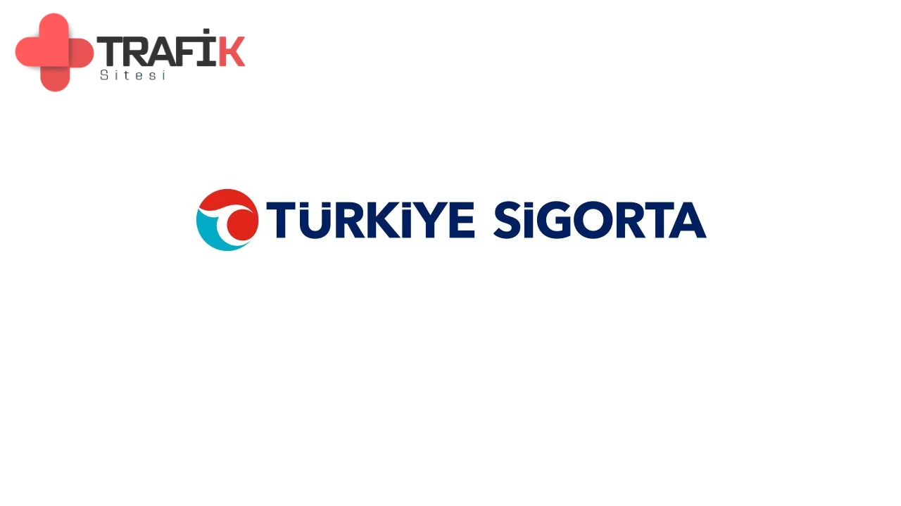 Türkiye Sigorta, 2024 Mayıs'ta En Yüksek Pazar Payına Ulaştı