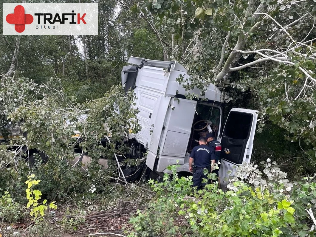 Sakarya'da TIR, ağaca çarparak kaza yaptı